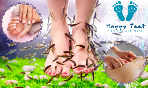 Happy Feet Fish Spa | Ινστιτούτο Αισθητικής Λευκάδα