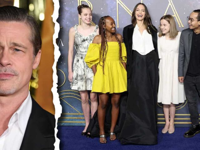 Το Διαζύγιο Pitt-Jolie : Μάχη για την επιμέλεια