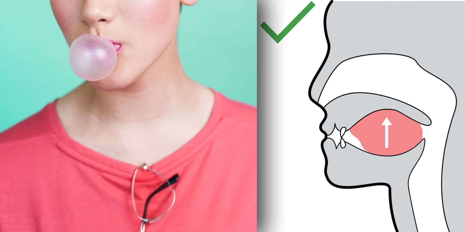 Trend Facial-Fitness Gum και Mewing